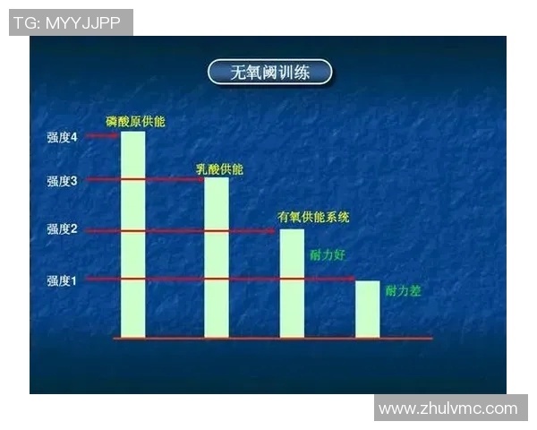 杭州羽毛球队的战术控制体系与羽毛球比赛策略研究