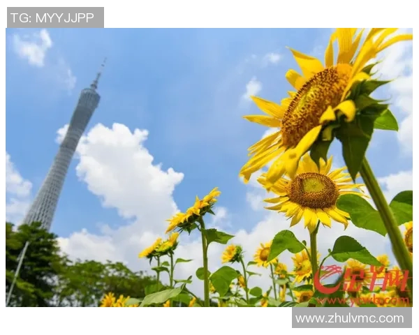 北向日葵与东京的对话：探索文化交融与城市魅力的碰撞