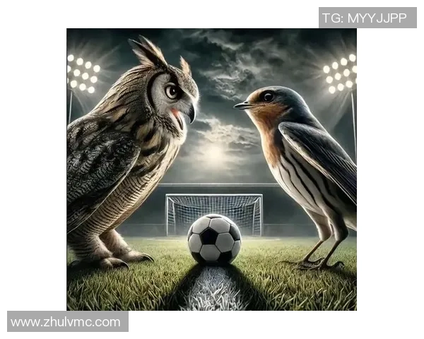 鸟栖沙岩与札幌冈萨多谁在近期比赛中表现更为出色分析对比